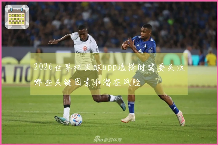 2026世界杯买球app选择时需要关注哪些关键因素和潜在风险