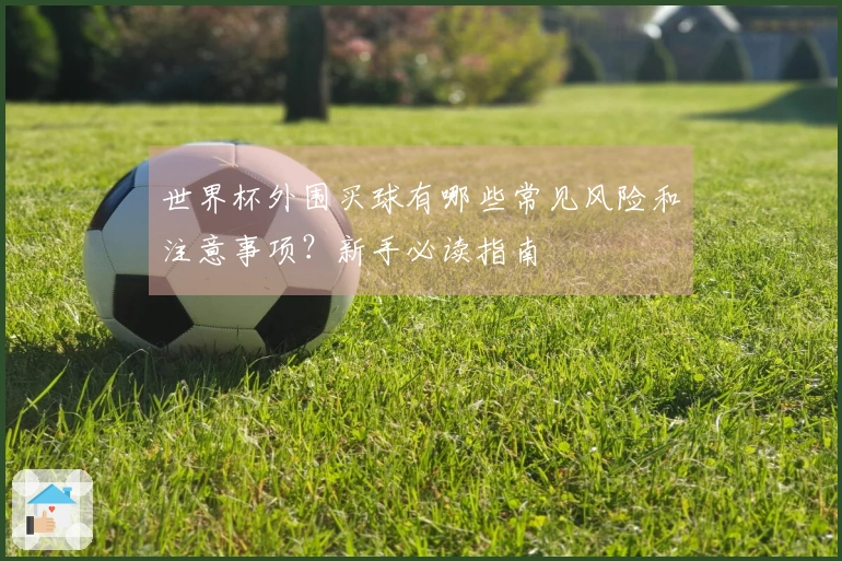 世界杯外围买球有哪些常见风险和注意事项？新手必读指南